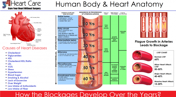 Blockage & Human Age Correlation